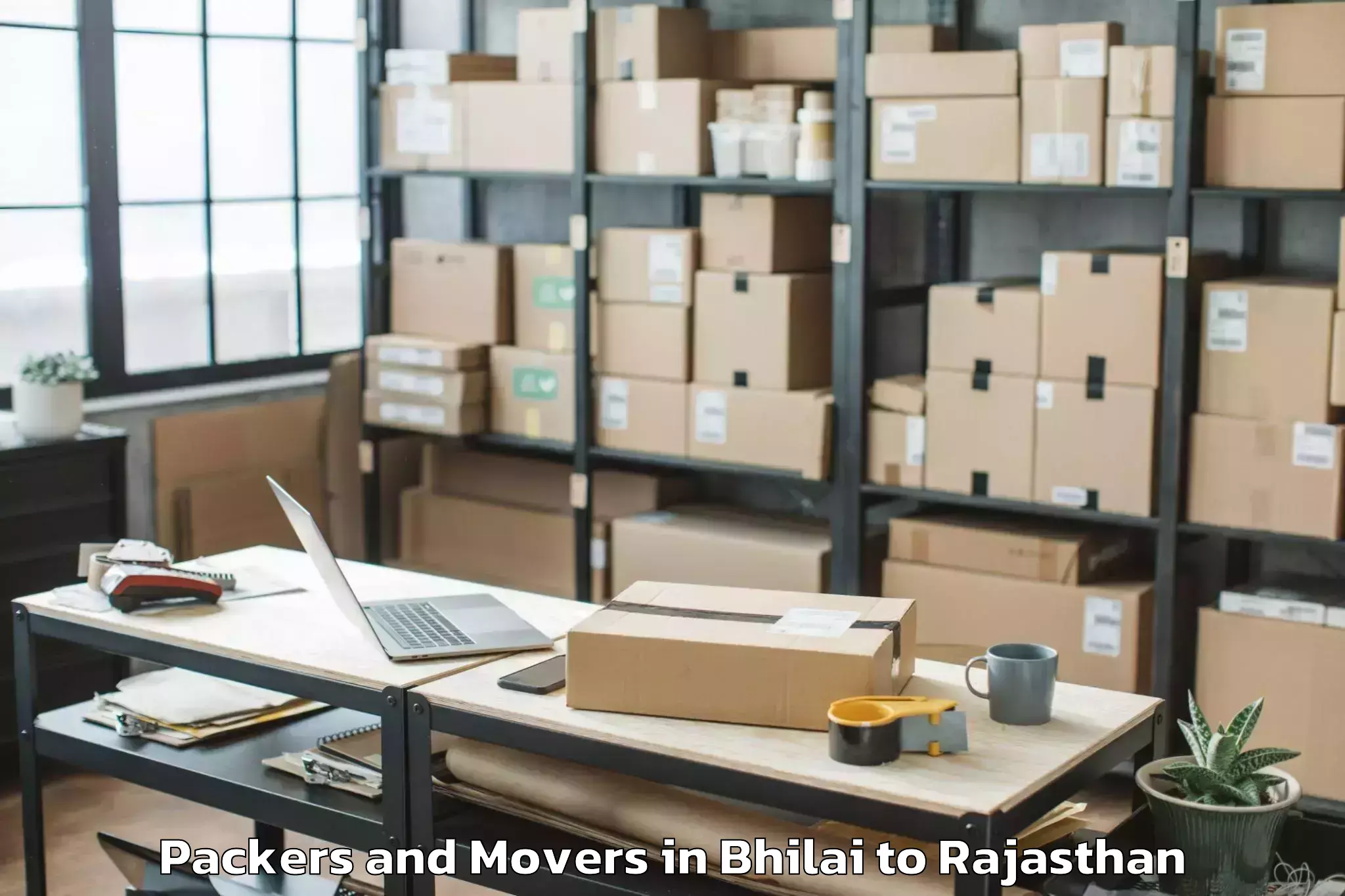 Easy Bhilai to Chaksu Packers And Movers Booking